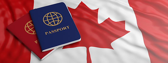 Canadian immigration consultation